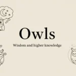Owls in Dream Meaning