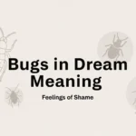 Bugs in Dream Meaning