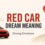 Red Car Dream Meaning