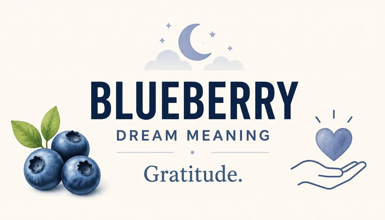 Blueberry Dream Meaning